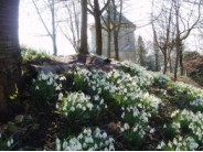 36. Painswick Rococo Garden